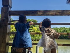 -大湾区中央湿地公园