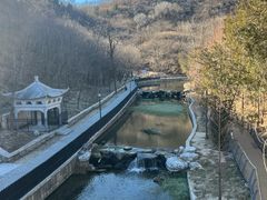 -白水寺森林公园