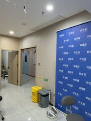 -碧莲盛不剃发植发