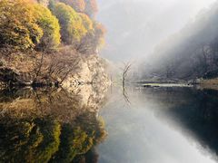 -少华山国家森林公园