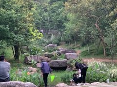 -飞凤山奥体公园