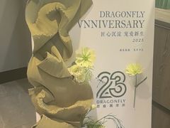 -Dragonfly 悠庭·按摩Spa(苏州中心广场店)
