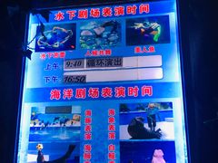 -泉城欧乐堡海洋极地世界