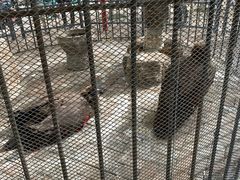 -长白岛森林公园