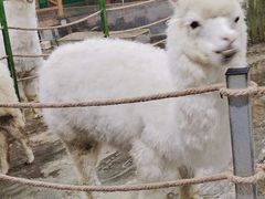 -上海大自然野生昆虫馆(东方明珠·爬宠昆虫探索中心)