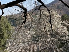 -香山公园