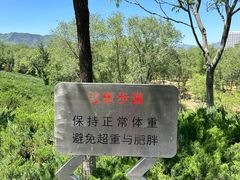 -滨河世纪广场公园