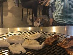 -老安火盆烤肉(金寨路店)