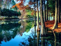 -贡湖湾湿地公园