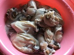 -蚝乡农庄(铁涌赤岸店)