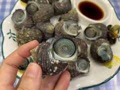 -魚當家