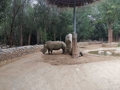 -北京野生动物园