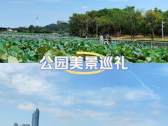 -古琴台
