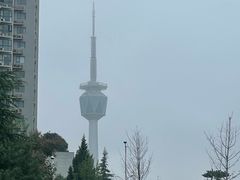 -陕西自然博物馆