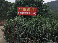 -年辉渔村