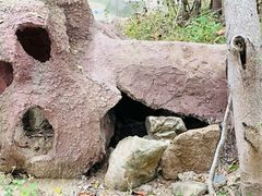 -野象谷景区