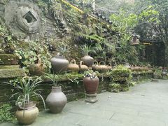 -青城甲(青城山店)