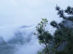 -刘伯温故里景区百丈漈