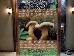 -爱膳菌锅锅(阳南店)
