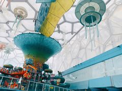 -水立方嬉水乐园