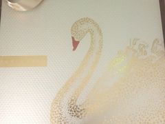 -BLACKSWAN黑天鹅(环球店)
