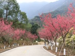 -福清灵石山国家森林公园