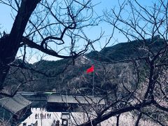 -肯德基(八达岭步行街店)