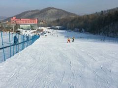 -亚布力新体委滑雪场