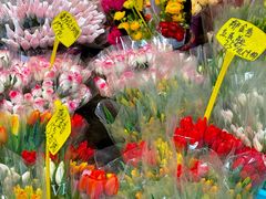 -循礼门鲜花花市(武汉循礼门店)