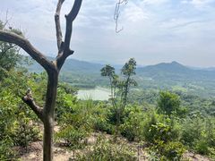 -凤岗南门山森林公园