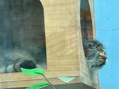 -青藏高原野生动物园