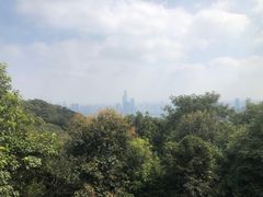 -岳麓山风景名胜区