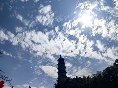 -广州莲花山旅游区
