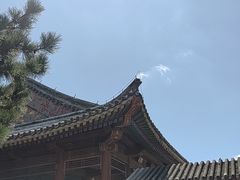 -香山公园