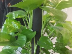 -云川台球(马甸店)