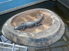 -太原动物园