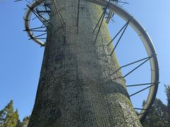 -黄海国家森林公园