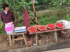 -樱桃山旅游景区