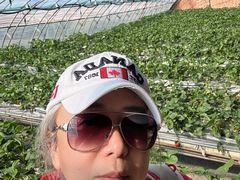 -甜心庄园·甜心草莓采摘园(西青中北店)