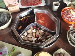 -巴倒烫陆派火锅山庄(南山总店)