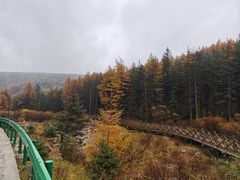 -芦芽山旅游度假区