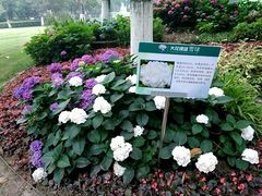 -常州古运河南大街文化旅游区-人民公园