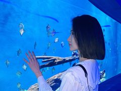-石家庄极地海洋世界