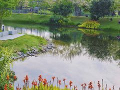 -四海公园(南山区)