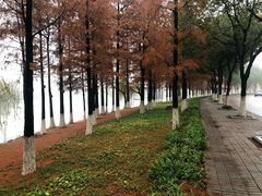 -南京工程学院(江宁校区)