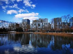 -大兴滨河森林公园