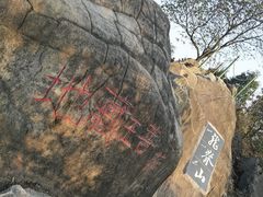 -南山植物园