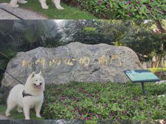 -顺峰山公园