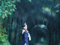 -合肥滨湖国家森林公园