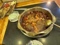 -金鼎雪山牦牛杂火锅(理县总店)